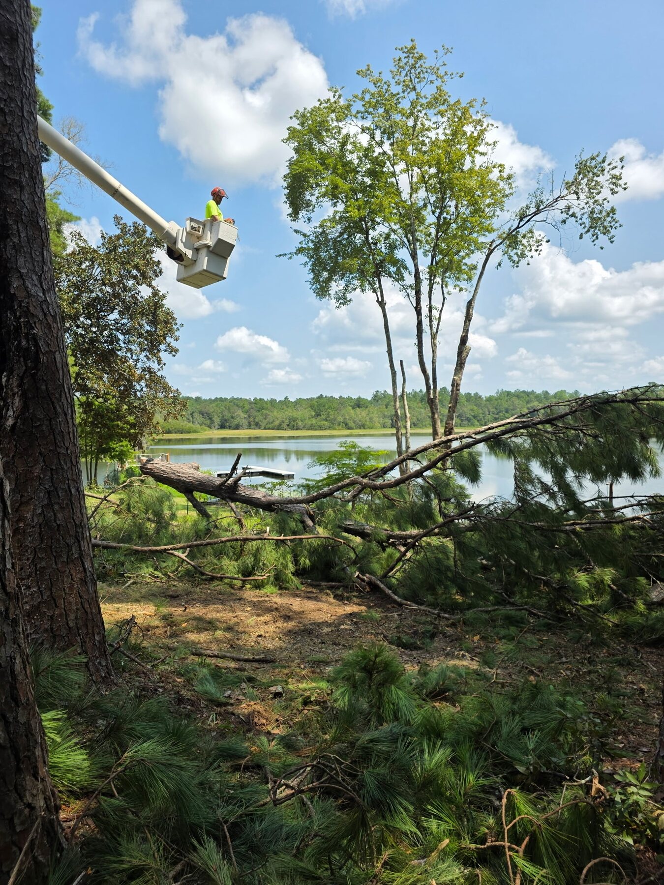 H&L bucket crew working above cut pine debris beside a lake