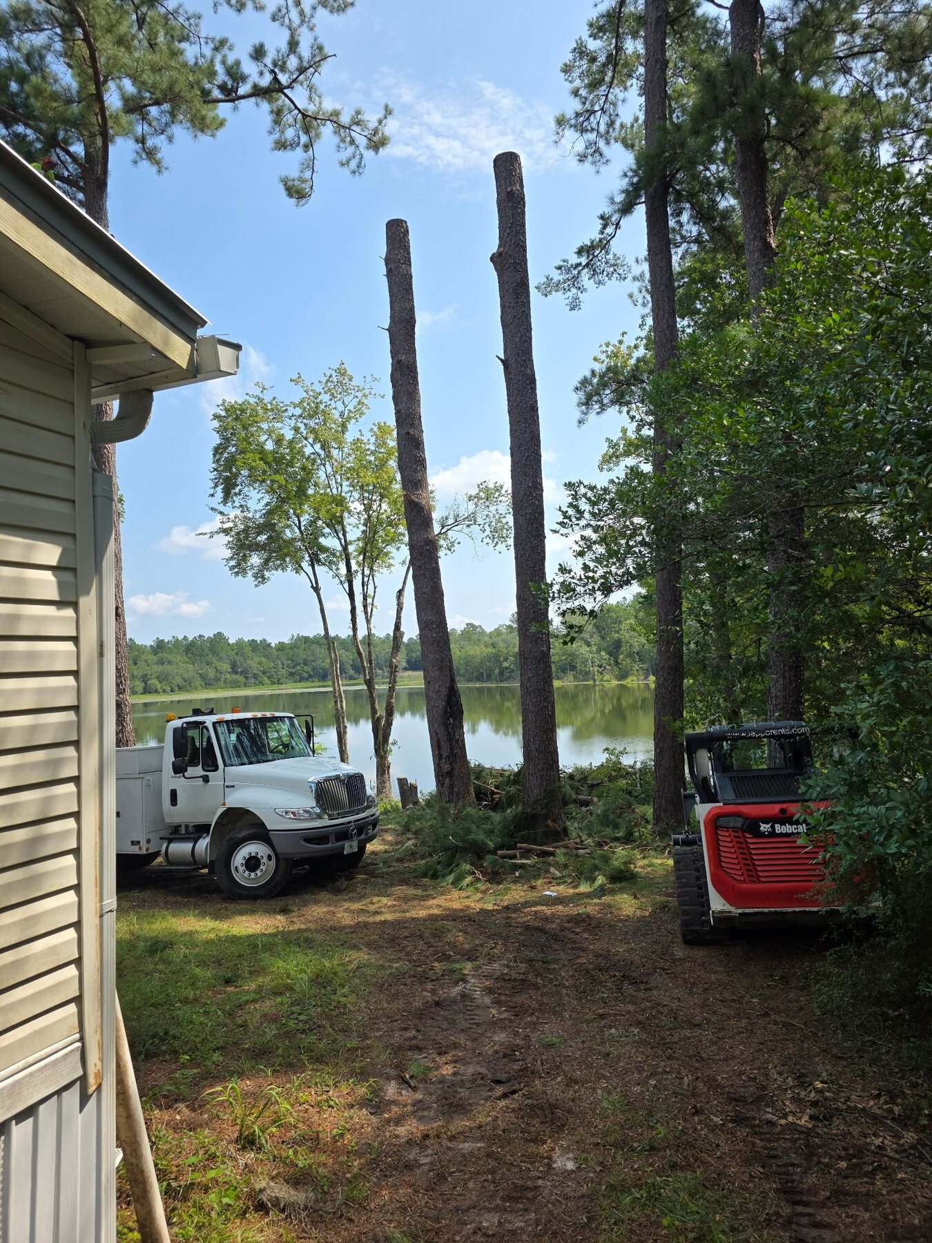H&L bucket truck and compact loader on a lakeside tree job